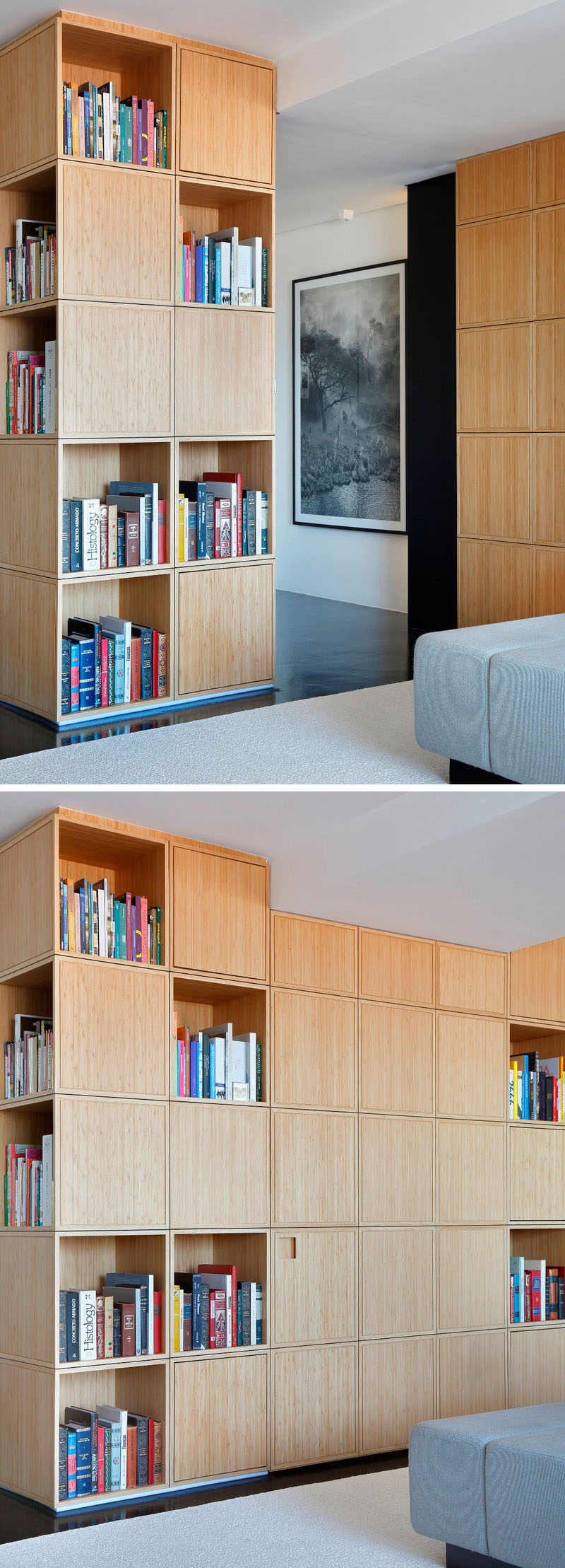 porte-dérobée-bibliotheque-separation-appartement-design