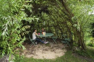 La structure végétale en saule tressé 2026