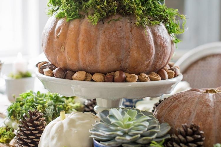 Centre de table pas cher avec une citrouille succulente, comment faire?