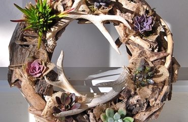 déco-DIY-bois-flotté-succulentes-couronne-déco