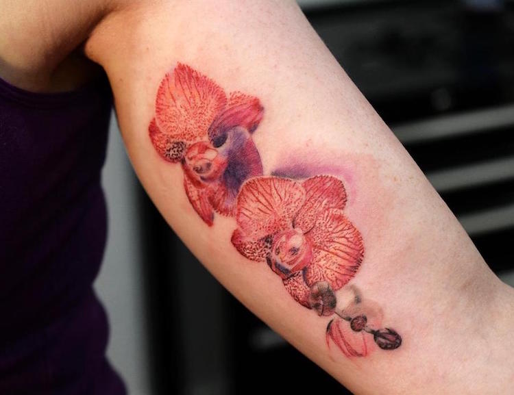 idée-tatouage-orchidée-rouge-bras-intérieur