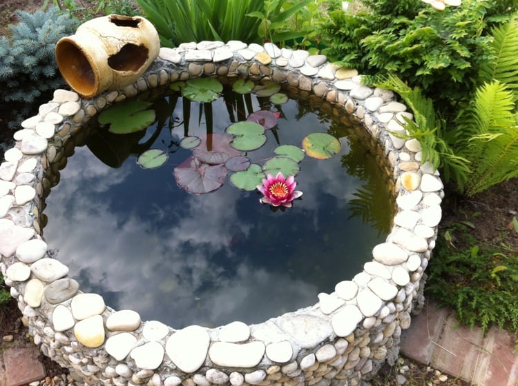 jardin-aquatique-pierre-ronde