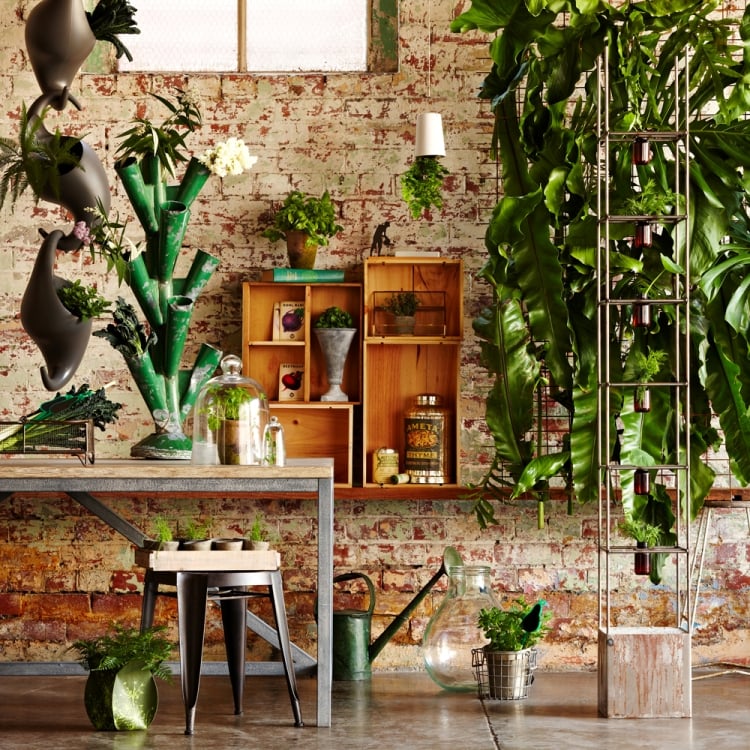 jardin-intérieur-mur-végétal-idées
