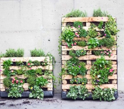 jardin-vertical-palette-fleurs-herbes-aromatiques