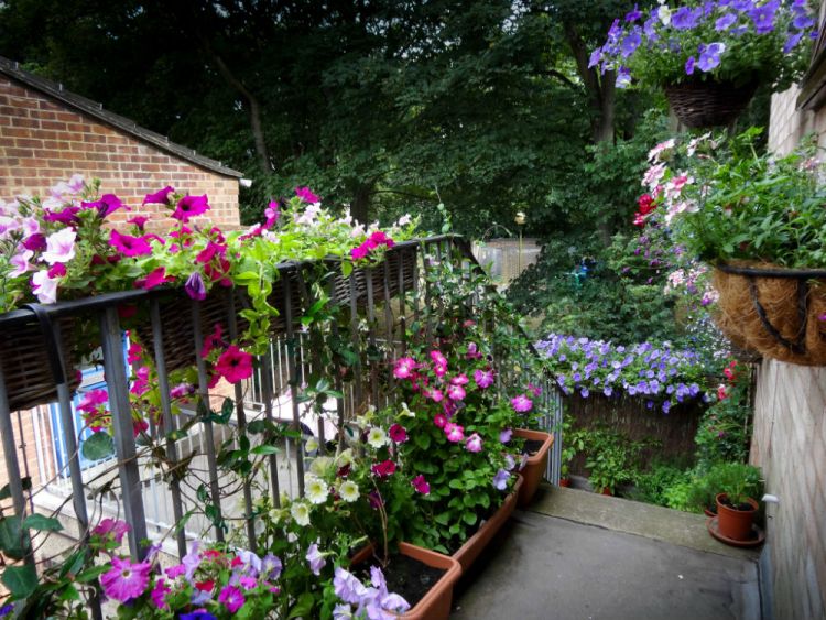 jardinière-été-balcon-idées-fleurs-pots