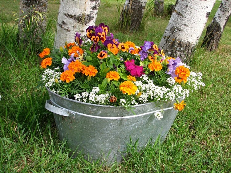 jardinière-été-diy-idées-fleurs