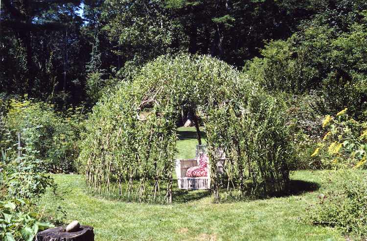 structure-végétale-saule-tressé-cabane-jardin-végétale-osier-vivant