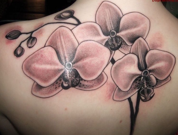 tatouage-orchidée-femme-partie-supérieure-dos