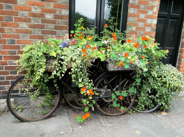 vélo-déco-jardin-déco-maison-façade