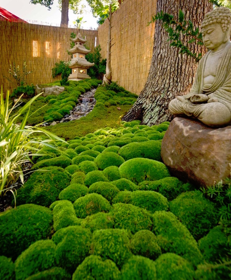 jardin-mousse-minéraux-jardin-japonais-moderne-statue-zen-pierres-recouvertes-mousse