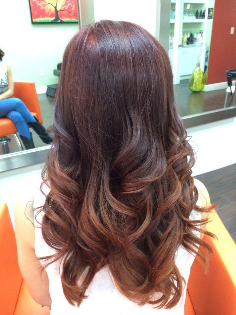 balayage-miel-idées-cheveux-longs