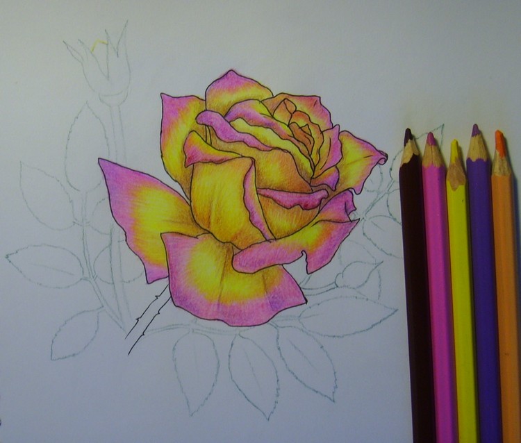 fleur dessin coloration-idées