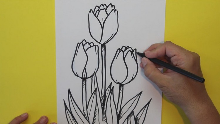 Fleur dessin : réussir son premier dessin de fleur en quelques étapes