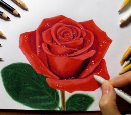 fleur-dessin-rose-rouge-idées