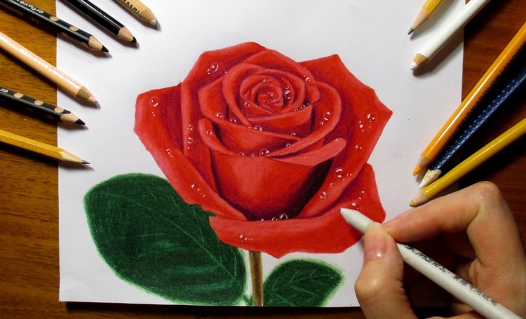 fleur-dessin-rose-rouge-idées