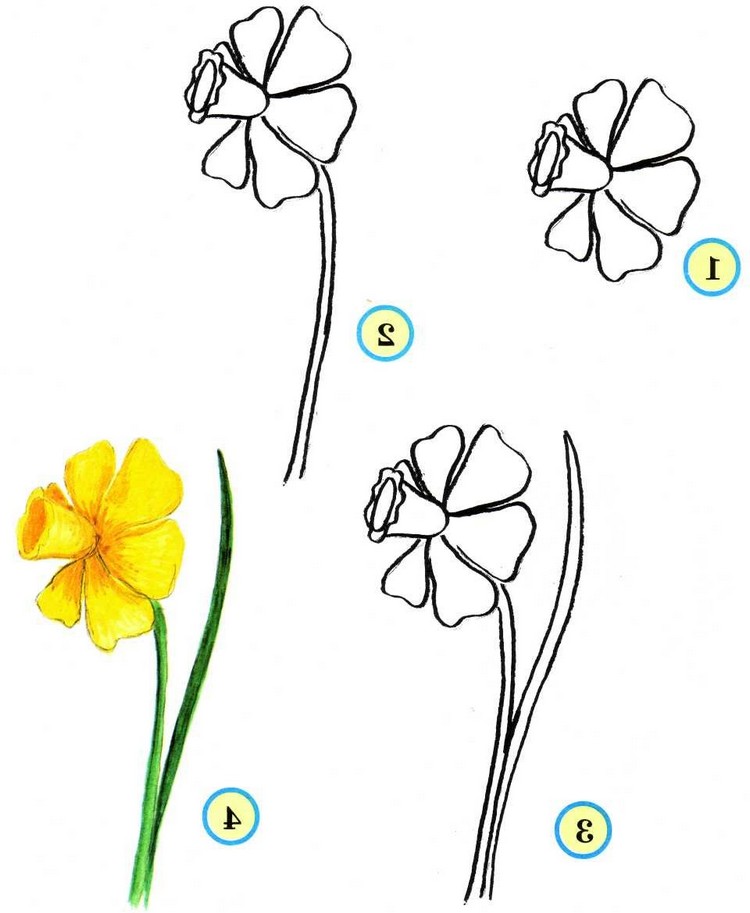 fleur-dessin-simple-réaliser-idées