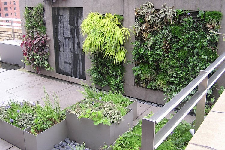 mur-vegetal-exterieur-diverses-espèces-déco-toit-terrasse