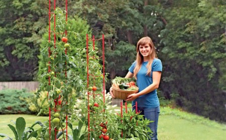 tuteurs-tomates-métal-design-moderne