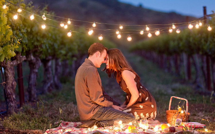 demande-mariage-originale-plein-air-guirlandes-lumineuses-vigne