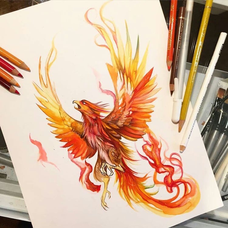 dessin-phoenix-tatouage-femme-homme