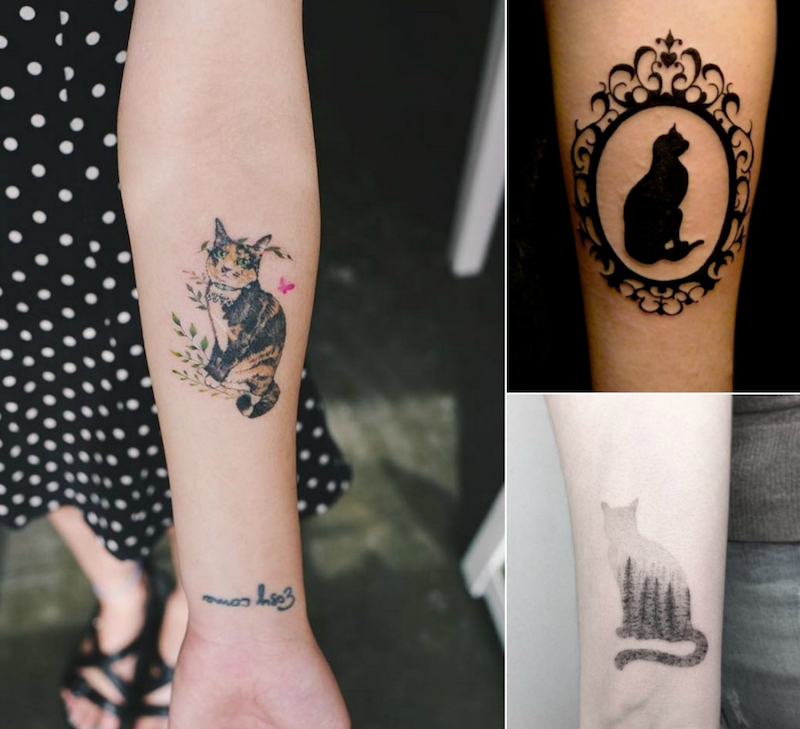 tatouage chat avant-bras-femme