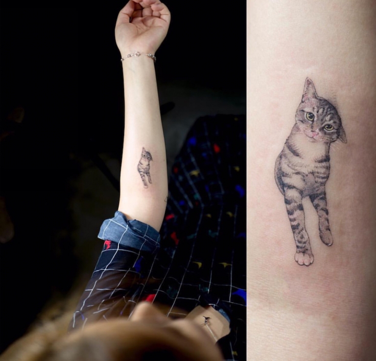 tatouage chat réaliste-avant-bras