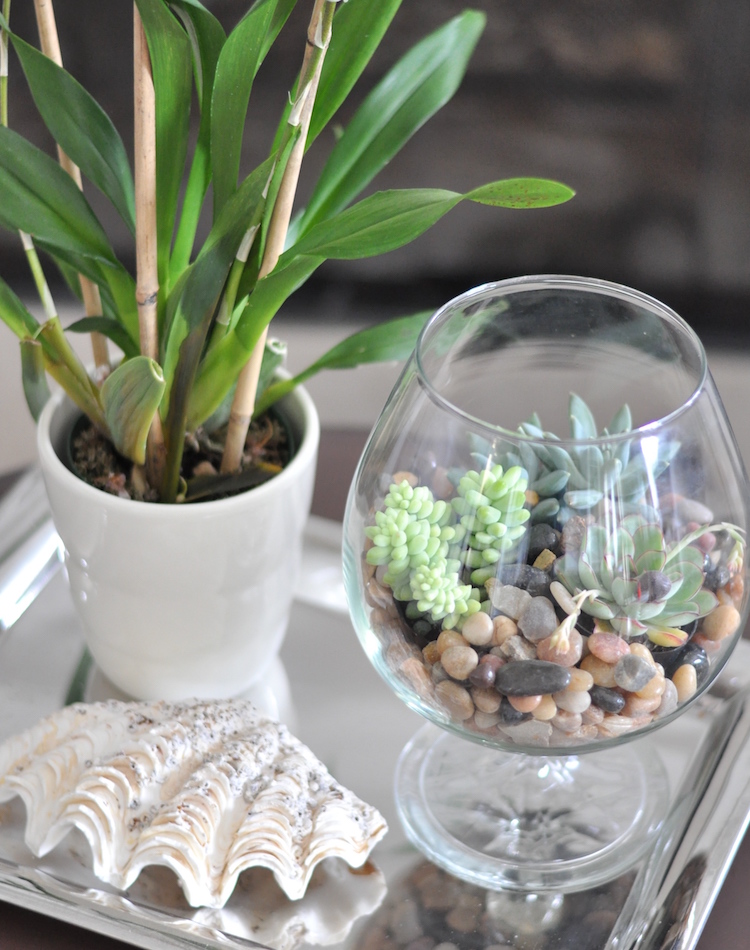 terrarium-plante-grasse-déco-galets-vase-verre