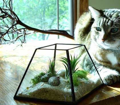 terrarium-plante-grasse-sable-déco-coquillages-centre-table