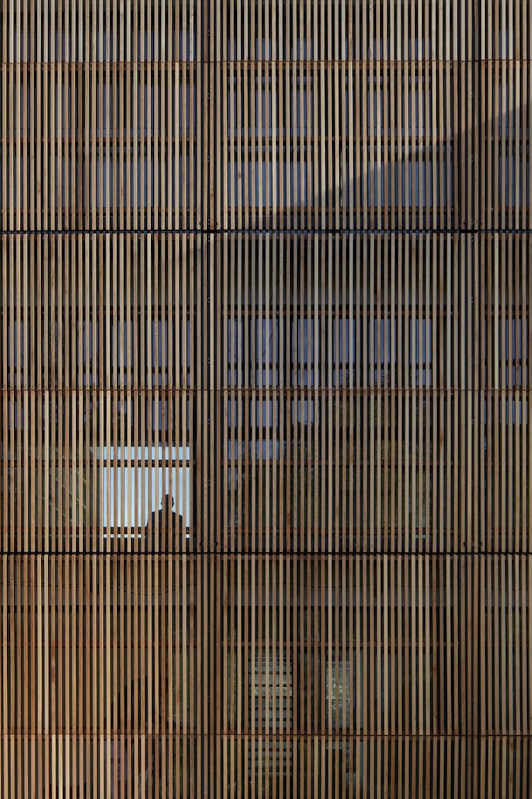 volets-papillon-bois-dispositif-protection-façade