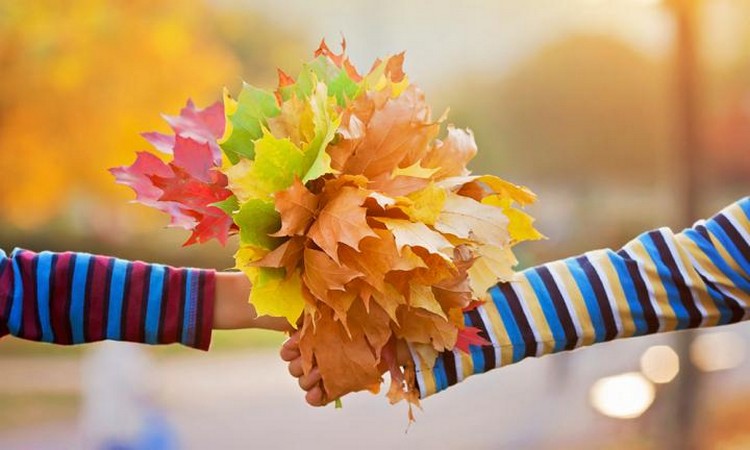 bricolage-enfants-automne-feuilles-matériaux