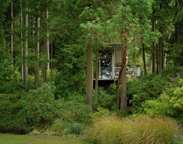 panneaux contreplaqué cabane-moderne-forêt-jardin