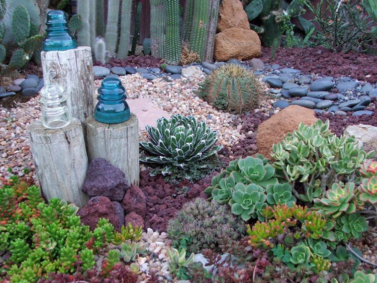 plantes-grasses-extérieur-idées-jardin-cactus