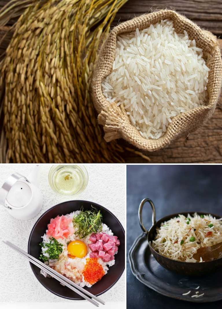 riz japonais - comment-préparer-quelles-recettes-utiliser