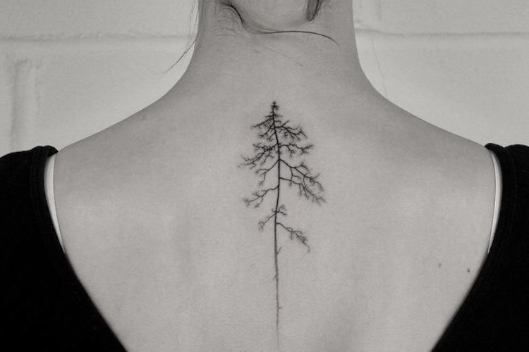 Tatouage arbre et tatouage arbre de vie : signification et inspirations