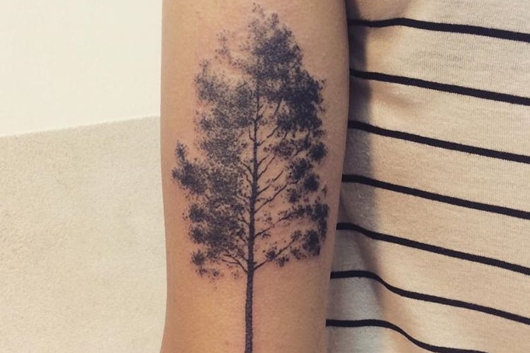 Tatouage arbre et tatouage arbre de vie : signification et inspirations