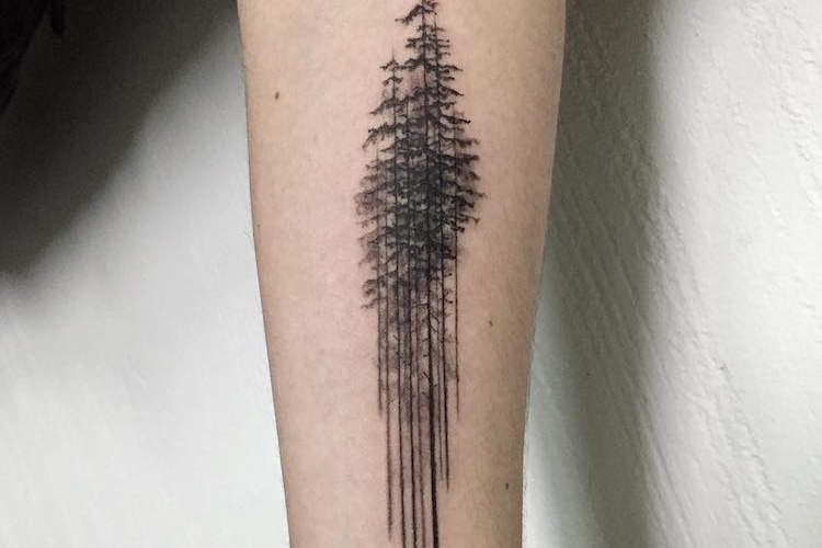 Tatouage arbre et tatouage arbre de vie : signification et inspirations