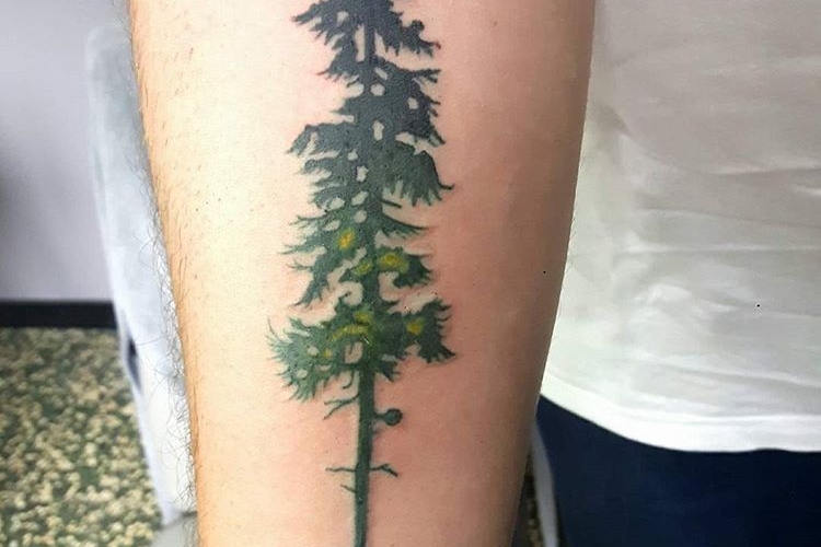 Tatouage arbre et tatouage arbre de vie : signification et inspirations