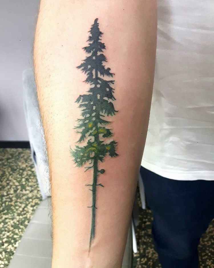 tatouage-arbre-pin-noir-vert-avant-bras-homme