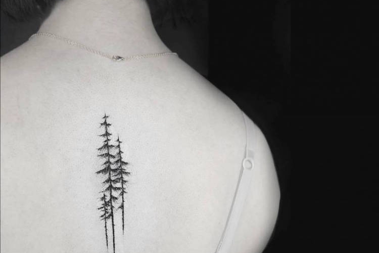 Tatouage arbre et tatouage arbre de vie : signification et inspirations