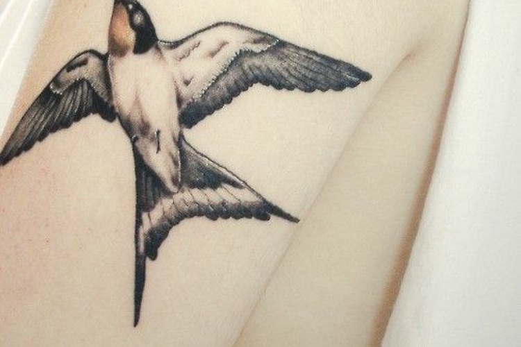 Tatouage oiseau : tous nos coups de cœur pour l'oiseau tatouage