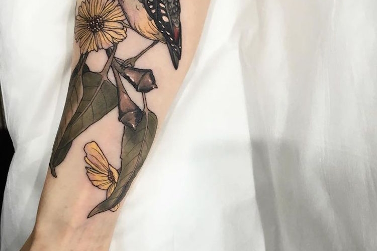 Tatouage oiseau : tous nos coups de cœur pour l'oiseau tatouage