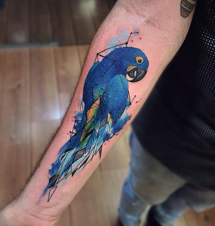 tatouage-oiseau-perroquet-ara-hyacinthe-avant-bras-homme