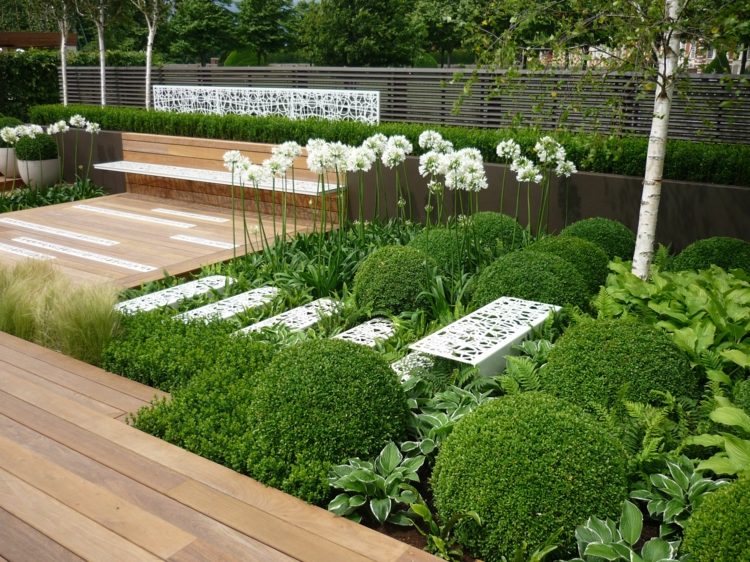 aménagement-jardin-paysager-moderne-terrasse-bois-aliums-buis