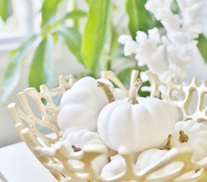 courges-blanches-decoration-automne-corail-bol-bois-sculpte