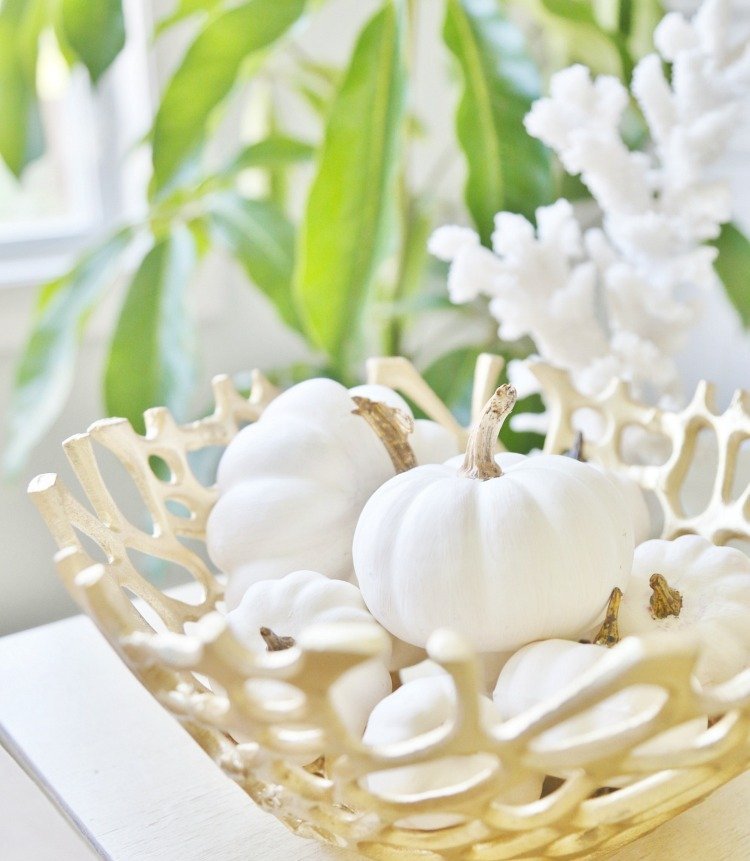 courges-blanches-decoration-automne-corail-bol-bois-sculpte