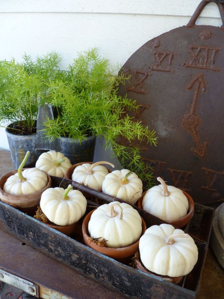 courges-blanches-decoration-automne-mini-pots-argile-vintage