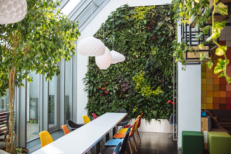 idee-deco-bureau-eco-friendly-mur-vegetal-plantes-vertes-interieur