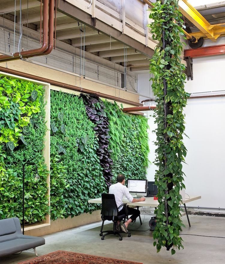 idee-deco-bureau-jardin-vertical-interieur-purifier-air