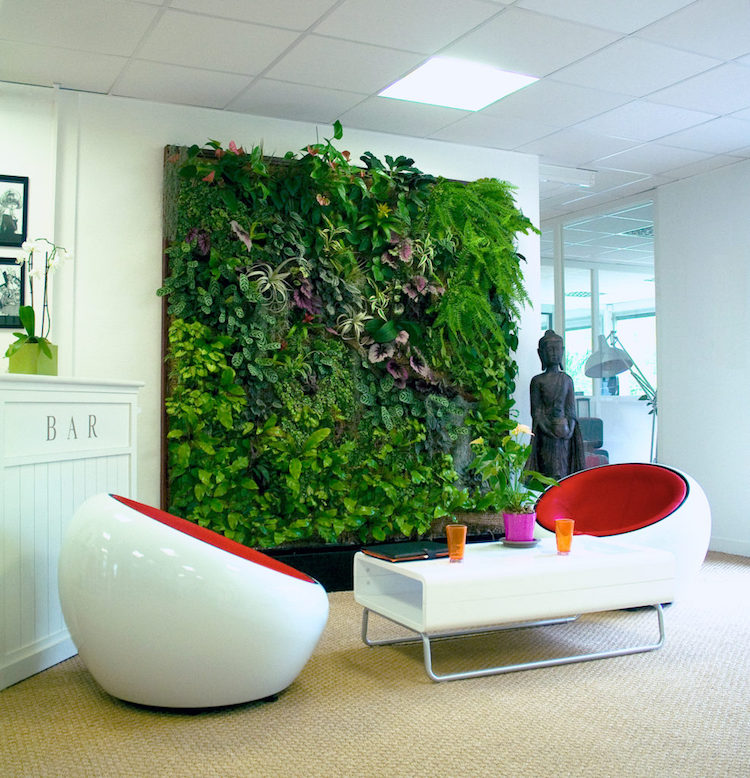 idée déco bureau mur-vegetal-fauteuils-ronds-design