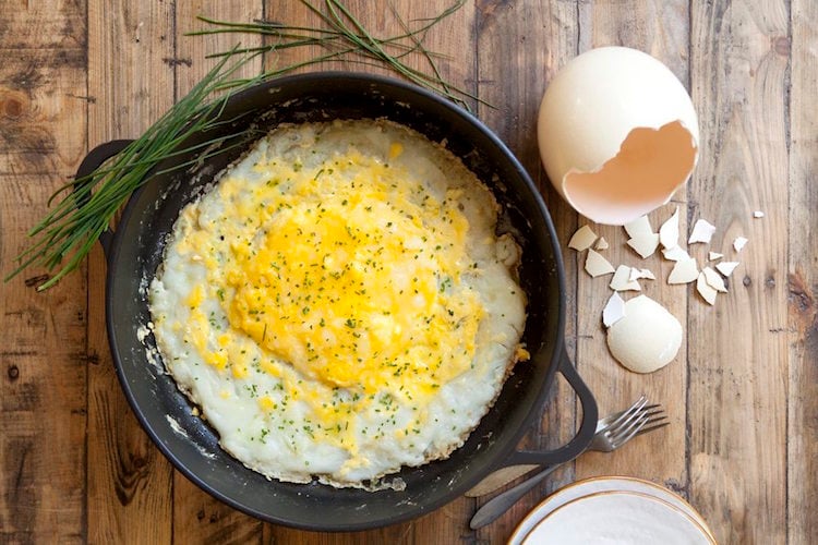 oeuf-autruche-omelette-recette-facile